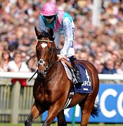 Will Frankel star again?<br>Photo by Racing and Sports